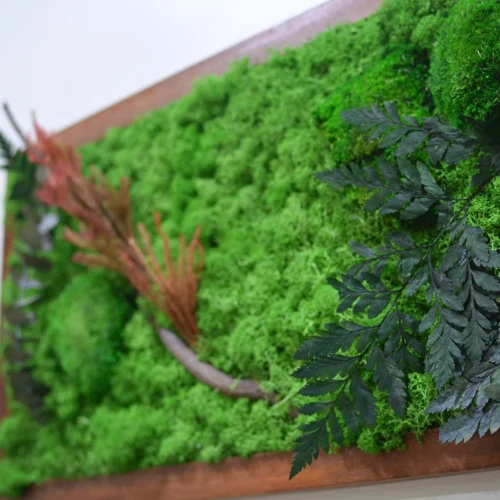 The Untamed Backwoods Preserved Moss Frame With Dark Wood -Plant Life Decor Shop The Untamed backwoods 4