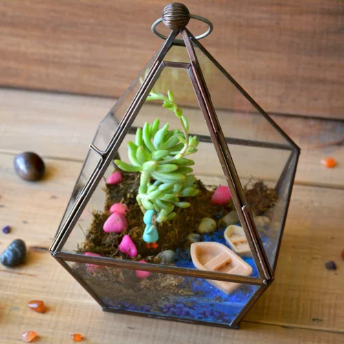 The Jamaican Farewell Terrarium Kit