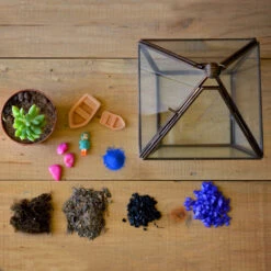 The Jamaican Farewell Terrarium Kit -Plant Life Decor Shop The jamaican farewell 4