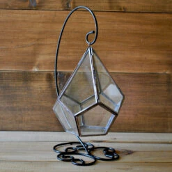 The Jungle Blues Terrarium Kit -Plant Life Decor Shop The jungle blues 4