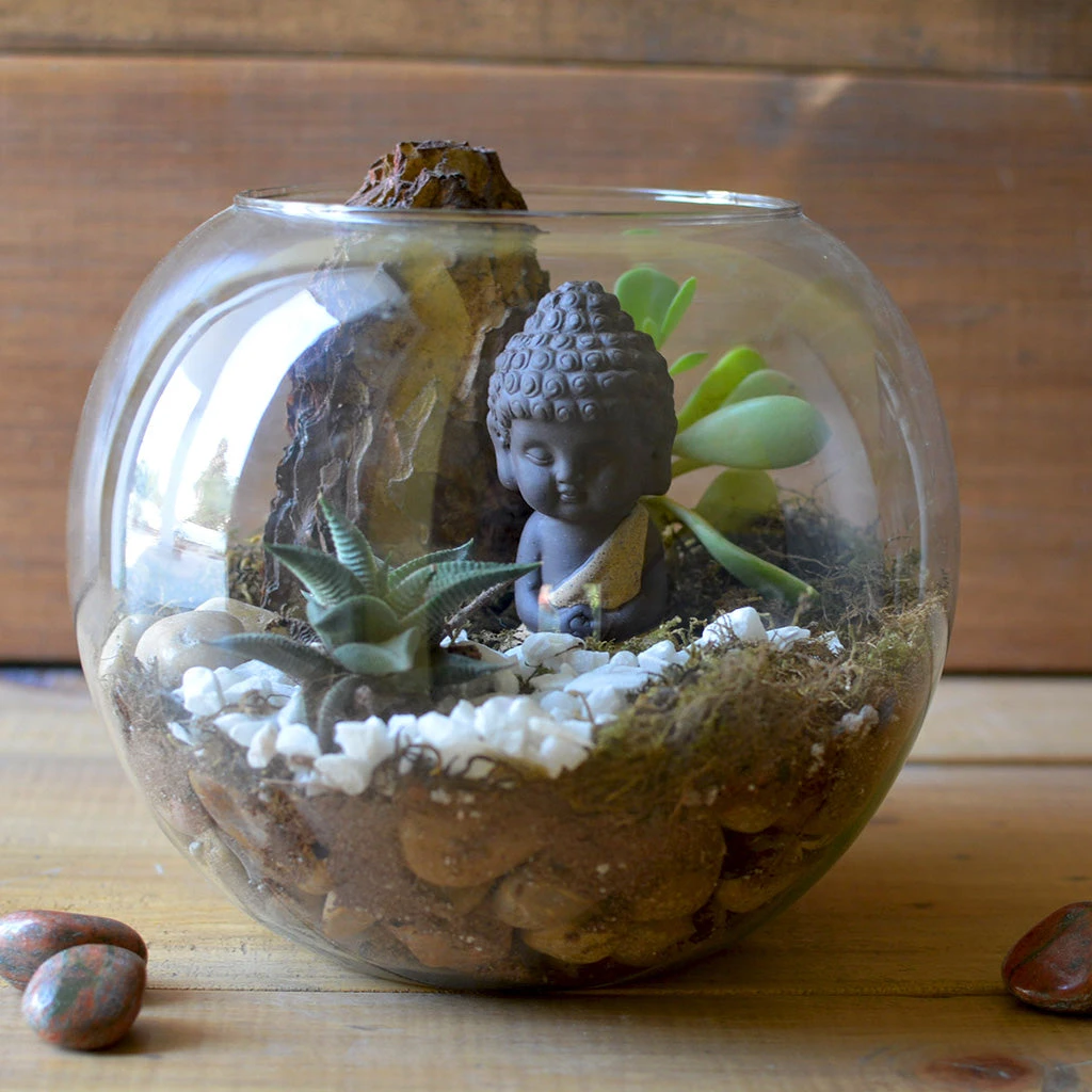 The Pondering Buddha Terrarium Kit 2 The Pondering Buddha Terrarium Kit - Image 2