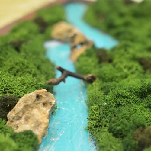 Traverse The Wild Preserved Moss Frame With Dark Wood -Plant Life Decor Shop Traverse The Wild 6