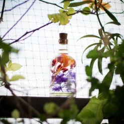 Tumultuous Tints Preserved Flower Tabletop 13 Tumultuous Tints Preserved Flower Tabletop -Plant Life Decor Shop Tumultuous Tints 6