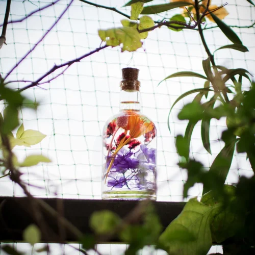 Tumultuous Tints Preserved Flower Tabletop 13 Tumultuous Tints Preserved Flower Tabletop -Plant Life Decor Shop Tumultuous Tints 6