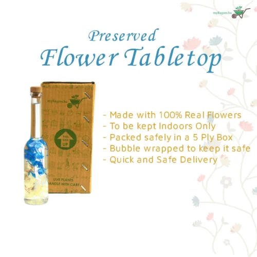 Unfurled Camo Preserved Flower Tabletop -Plant Life Decor Shop Unfurled camo 4