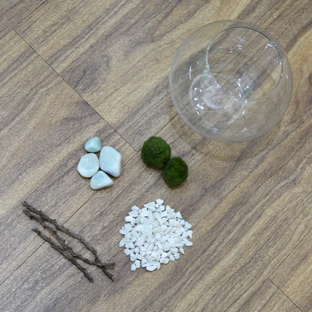 Lush Globule Marimo Moss Ball Terrarium Kit 4 Lush Globule Marimo Moss Ball Terrarium Kit - Image 4