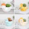 Set Of 4 Cute Flying Animals Resin Succulent Pots