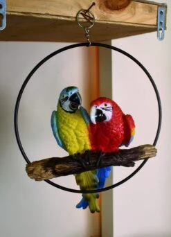 Two Parrot In Ring For Hanging