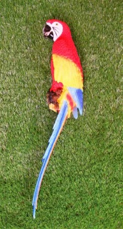 Big Parrot Decor In Red
