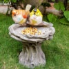 Wonderland Bird Feeder With Two Birds & Stand (Bird Bath, Home Decoration, Garden Birds, Balcony, Garden Decor)