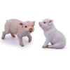 Set Of 2 : Cute Piggy Standing & Sitting Resin Decor