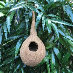 Weaver Finch Chidiya Ka Ghosla Planter -Plant Life Decor Shop WeaverFinchBirdNest 4