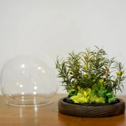 Wildflower Meadows Preserved Flower Tabletop (with Gift Box) -Plant Life Decor Shop Wildflower Meadows 7