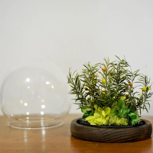 Wildflower Meadows Preserved Flower Tabletop (with Gift Box) 14 Wildflower Meadows Preserved Flower Tabletop (with Gift Box) -Plant Life Decor Shop Wildflower Meadows 7