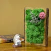 A Frosty Floret Tabletop Preserved Moss Frame In Wooden Bark