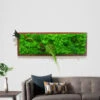 A Mystical Forest Preserved Moss Frame With Dark Wood