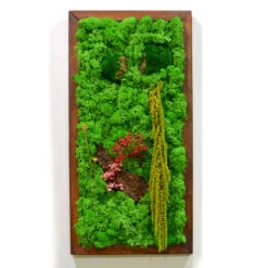 A Splash Of Wild Preserved Moss Frame With Dark Wood -Plant Life Decor Shop a splash of wild 1