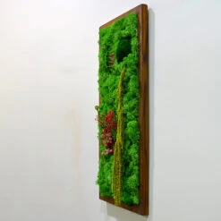 A Splash Of Wild Preserved Moss Frame With Dark Wood -Plant Life Decor Shop a splash of wild 2