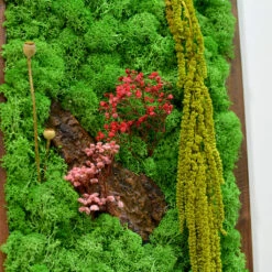 A Splash Of Wild Preserved Moss Frame With Dark Wood -Plant Life Decor Shop a splash of wild 3