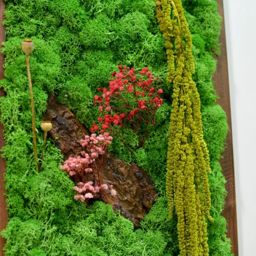 A Splash Of Wild Preserved Moss Frame With Dark Wood -Plant Life Decor Shop a splash of wild 3