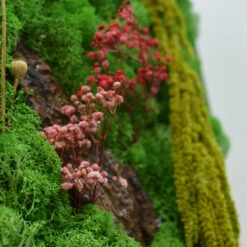 A Splash Of Wild Preserved Moss Frame With Dark Wood -Plant Life Decor Shop a splash of wild 4