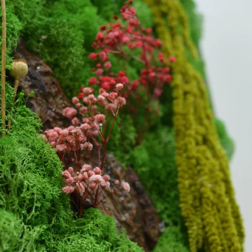 A Splash Of Wild Preserved Moss Frame With Dark Wood -Plant Life Decor Shop a splash of wild 4