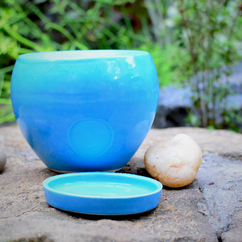 Pastel Apple Ceramic Pot With Tray 2 Pastel Apple Ceramic Pot With Tray - Image 2