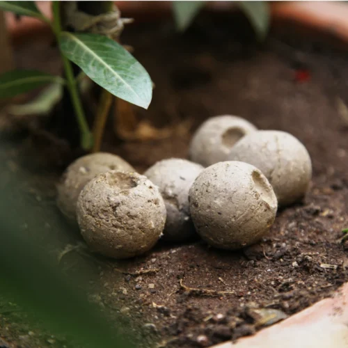 Bud Neo - A Slow Releasing Fertilizer -Plant Life Decor Shop b2 1