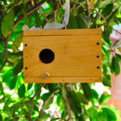 Bird Nest Rectangular - DIY Kit