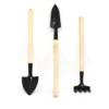 Succulent Bonsai Tools Set Of 3