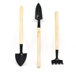 Succulent Bonsai Tools Set Of 3