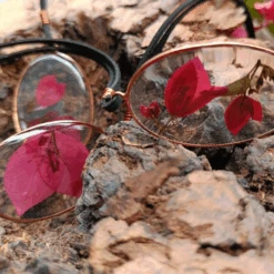 Bougainvillea Scintilla Bookmark -Plant Life Decor Shop bookmark33