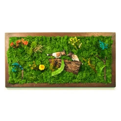 Bulbul's Call Preserved Moss Frame With Dark Wood -Plant Life Decor Shop bubul call 1