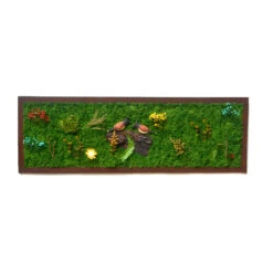Bulbul's Call Preserved Moss Frame With Dark Wood -Plant Life Decor Shop bubul call 36x12 1