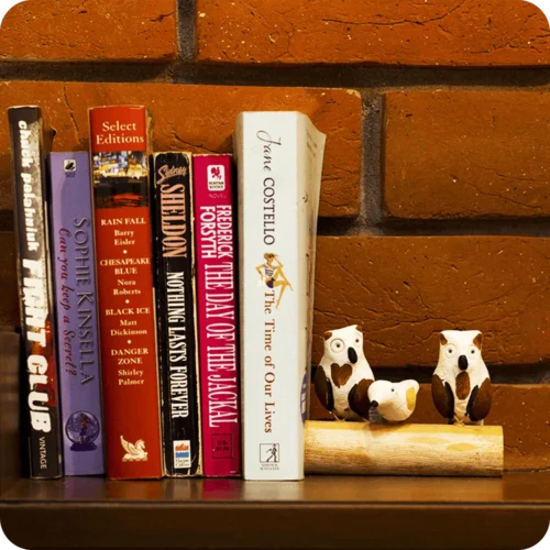 Bird Stand - Owl -Plant Life Decor Shop cc bs ow 3