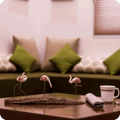 Peppy Pops - Flamingo Mount -Plant Life Decor Shop cc mn fl 4