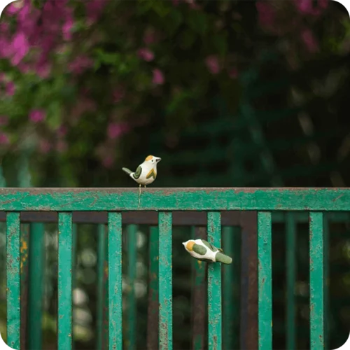 Peppy Pops - Tailorbird (A Pair) -Plant Life Decor Shop cc pp 2 cca4d467 ea28 4a8e bbb5 be69d5ff89de