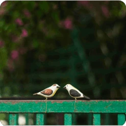 Peppy Pops - Baya Weaver (A Pair) -Plant Life Decor Shop cc pp 3