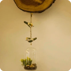 Peppy Pops - Tailorbird (A Pair) -Plant Life Decor Shop cc pp 3 10b78704 0728 4b28 9af3 2b452b9a5fc0