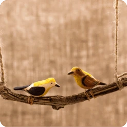 Peppy Pops - Baya Weaver (A Pair) -Plant Life Decor Shop cc pp 4