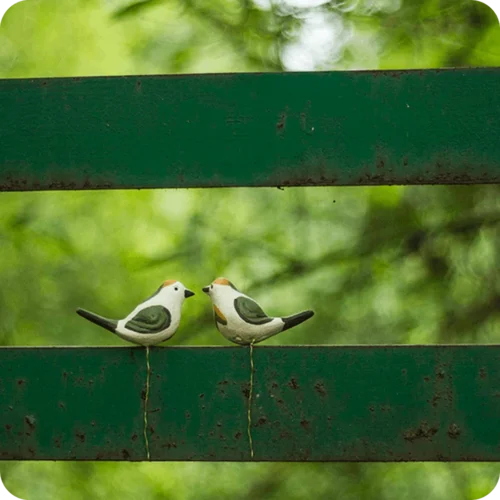 Peppy Pops - Tailorbird (A Pair) -Plant Life Decor Shop cc pp 4 955e69f5 731f 45bf bd96 11351f08e493