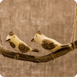 Peppy Pops - Bul Bul ( A Pair) -Plant Life Decor Shop cc pp bb 7