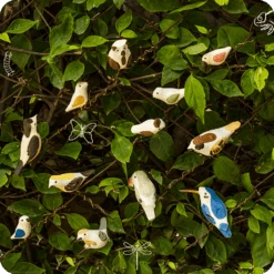 Peppy Pops - Each Of Chatur Chidiyaa 6 Peppy Pops - Each Of Chatur Chidiyaa -Plant Life Decor Shop cc pp each 3