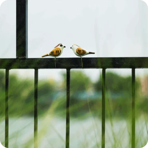 Peppy Pops - House Sparrow ( A Pair) -Plant Life Decor Shop cc pp hs 7