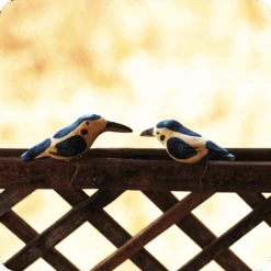 Peppy Pops - Kingfisher (A Pair) -Plant Life Decor Shop cc pp kf 2