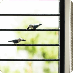 Peppy Pops - Kingfisher (A Pair) -Plant Life Decor Shop cc pp kf 3