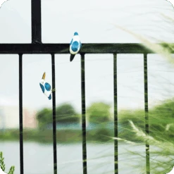 Peppy Pops - Kingfisher (A Pair) -Plant Life Decor Shop cc pp kf 4