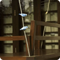 Peppy Pops - Kingfisher (A Pair) -Plant Life Decor Shop cc pp kf 5