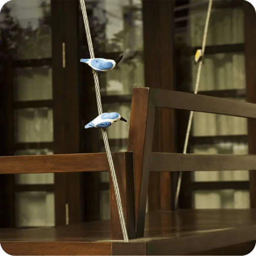 Peppy Pops - Kingfisher (A Pair) -Plant Life Decor Shop cc pp kf 5