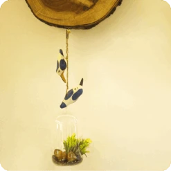 Peppy Pops - Kingfisher (A Pair) -Plant Life Decor Shop cc pp kf 6